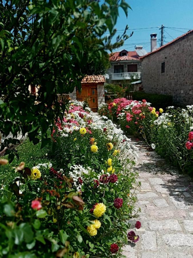 Bujtina Shkodrani Acomodação com café da manhã Voskopojë Exterior foto